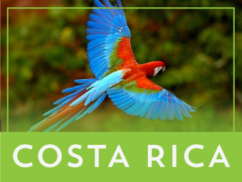 Circuito por Costa Rica