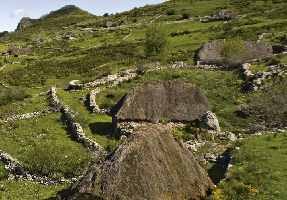 Naturaleza Pura.