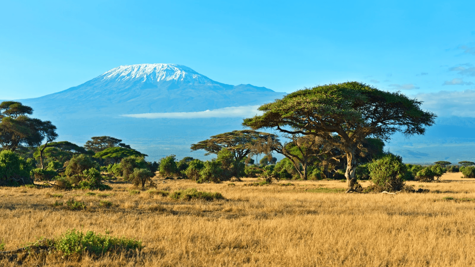 Kenia