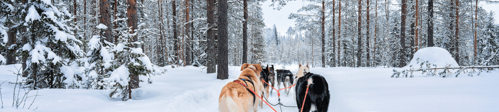 Finlandia