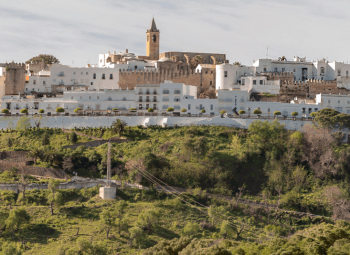 Carnaval de Cádiz para seniors