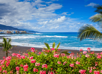 Tenerife: La isla de la eterna primavera para seniors