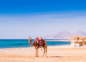 Viajes Egipto y El Cairo 2026: Circuito Egipto imprescindible y Mar Rojo I