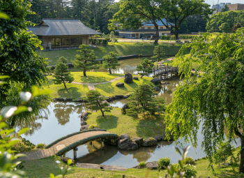 Circuito Japón Matsumoto Fin de Año