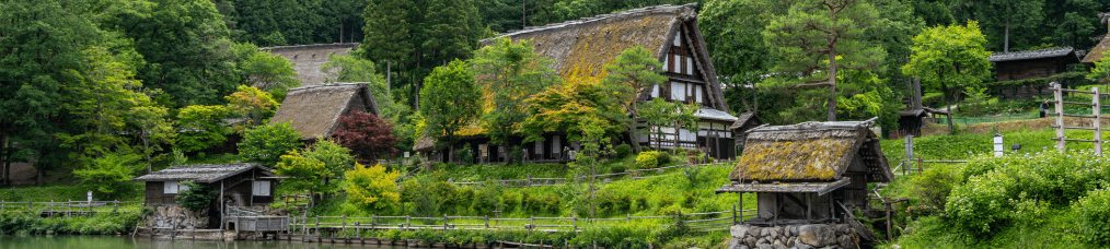 Japón