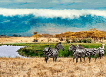 Kenia y Tanzania