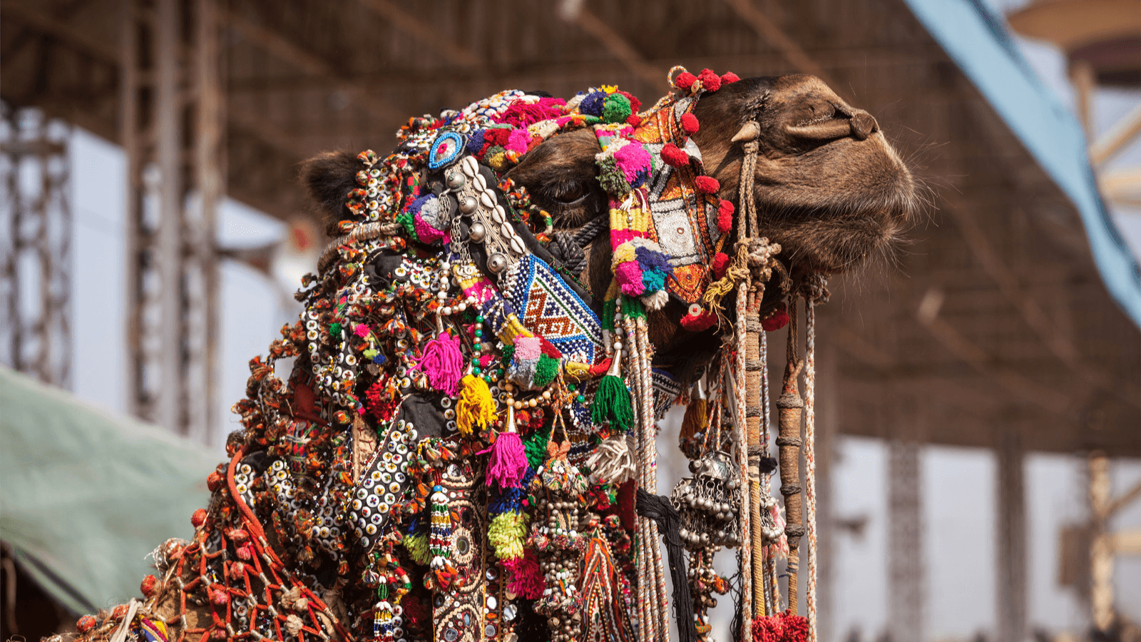 Rajasthan