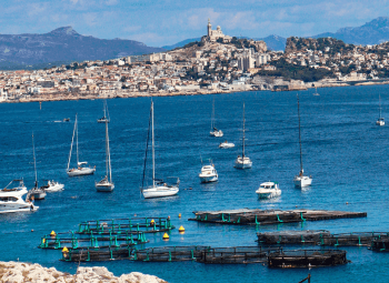 Crucero por el Mediterráneo en Fin de Año con Singles