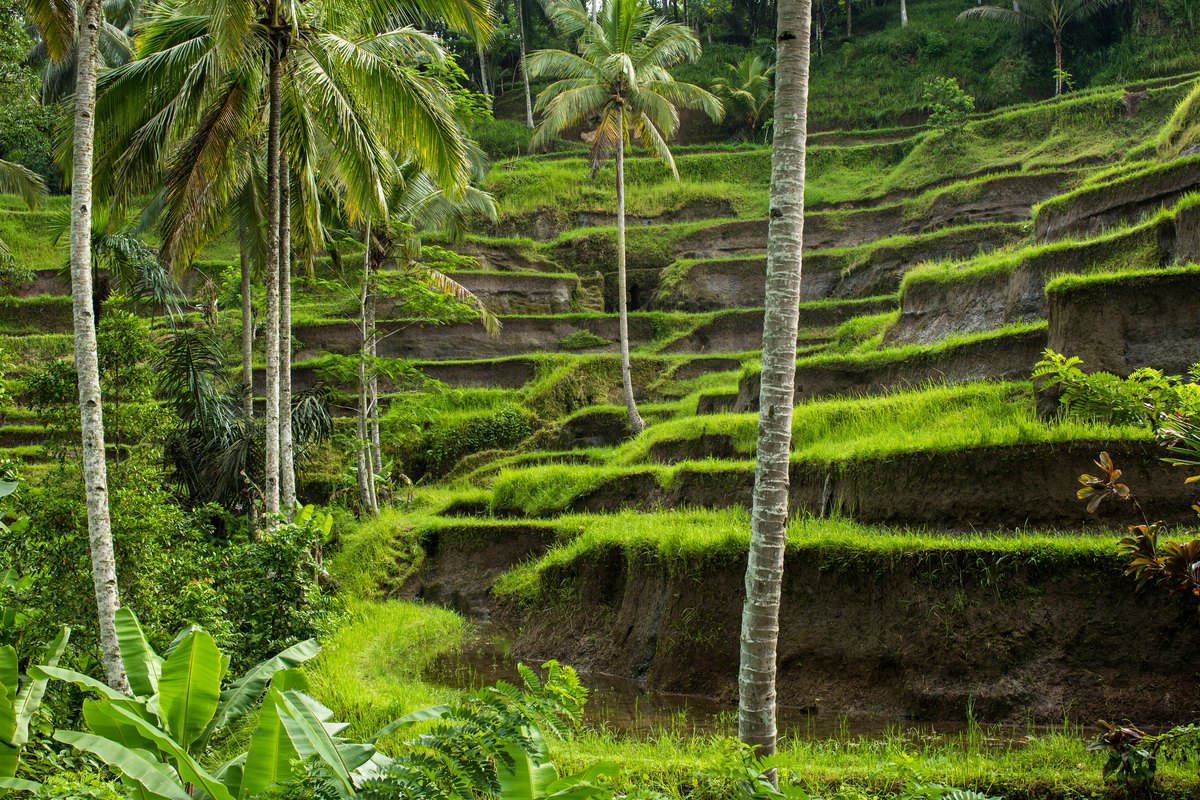 Isla de Bali