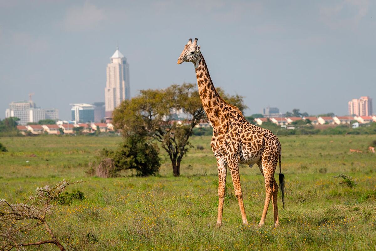 Nairobi