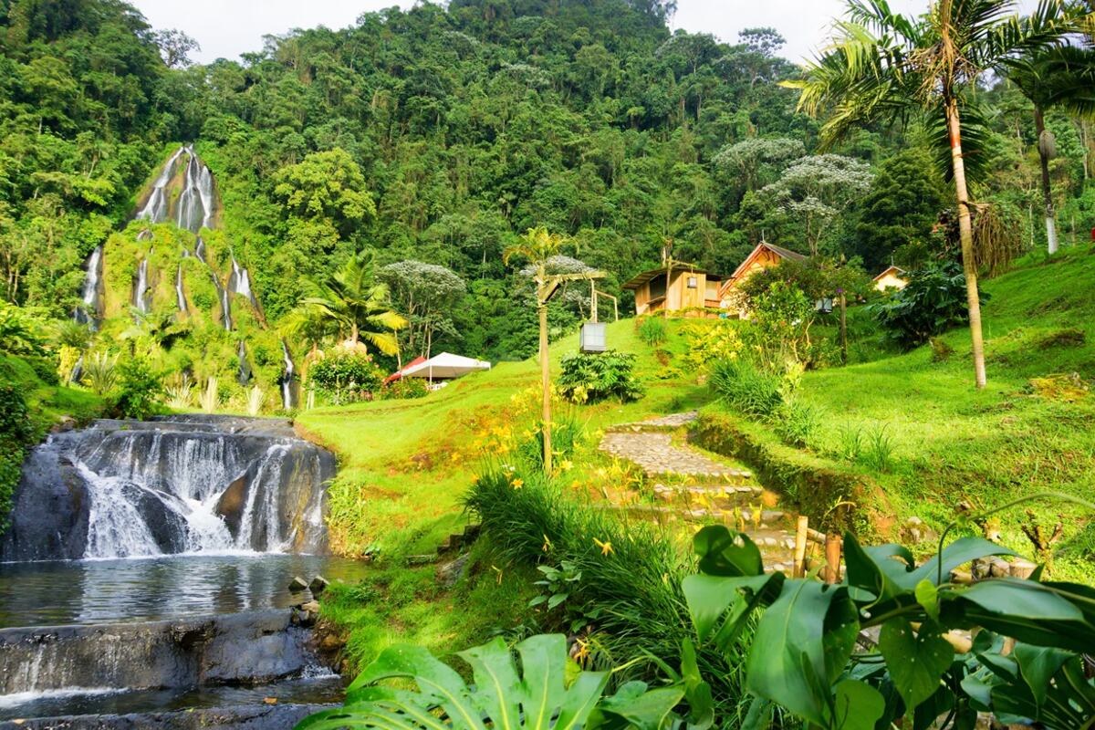 Pereira
