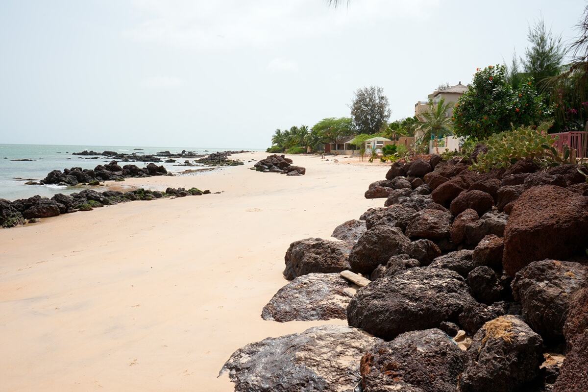 Saly