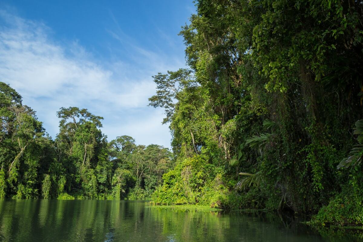 San José con Parque nacional de Tortuguero,  Arenal y Monteverde