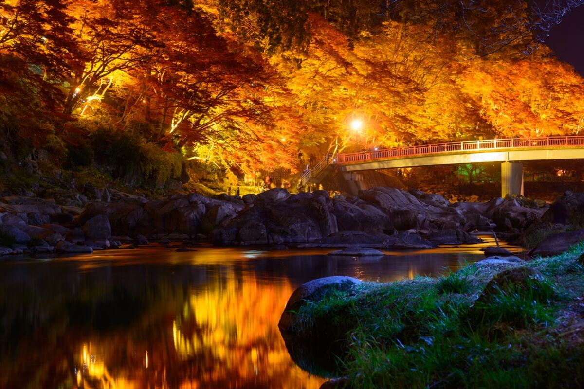 Viaje Descubre el Japón Escondido