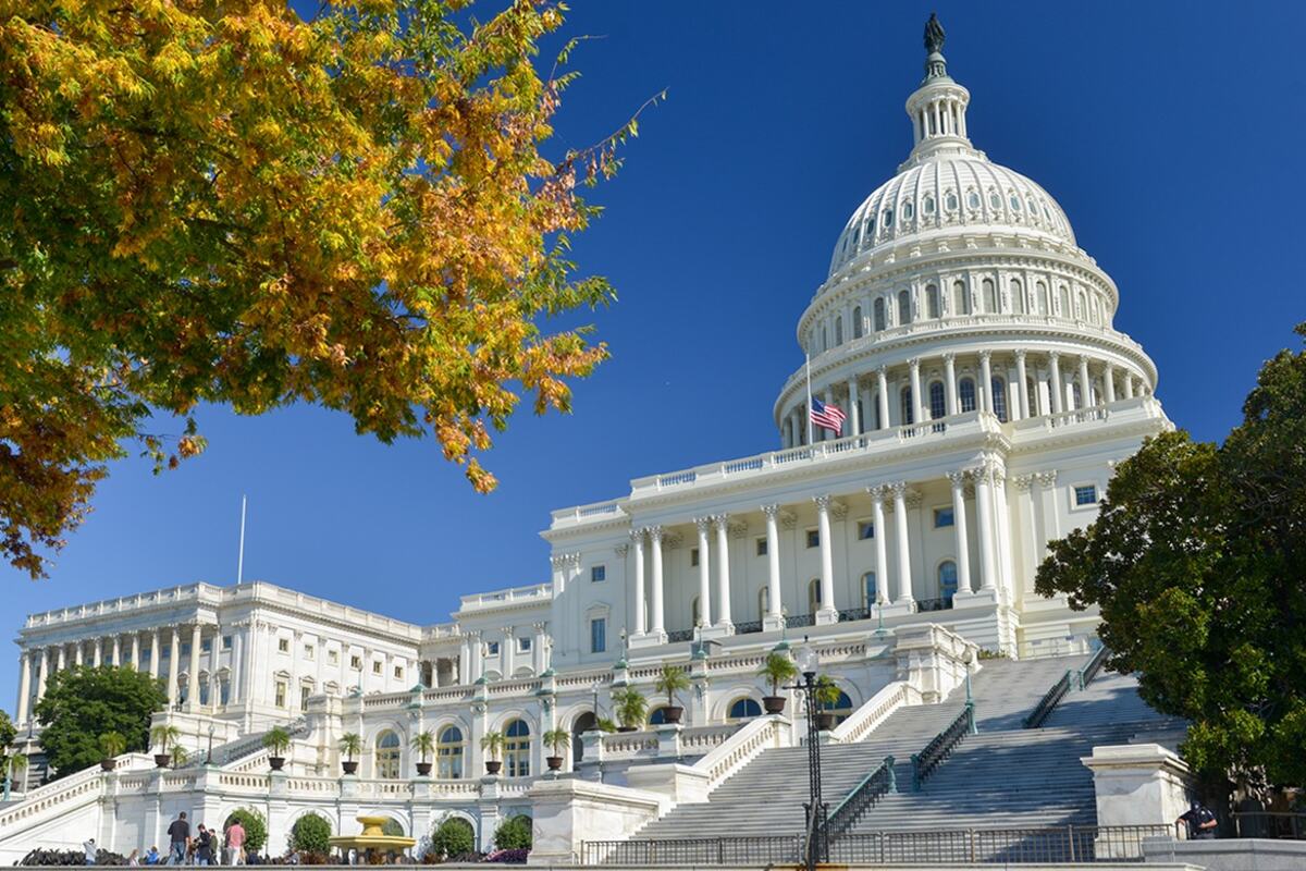 Washington D.C.