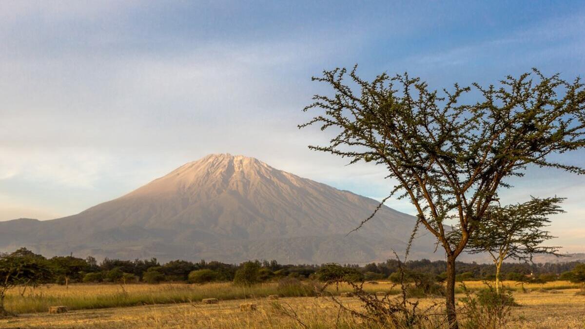Tanzania: Tesoros de Serengeti, Kilimanjaro y Ngorongoro
