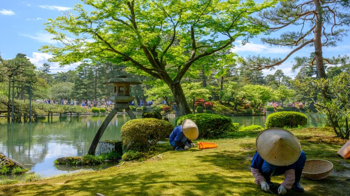 Viaje Gran Tour de Japón