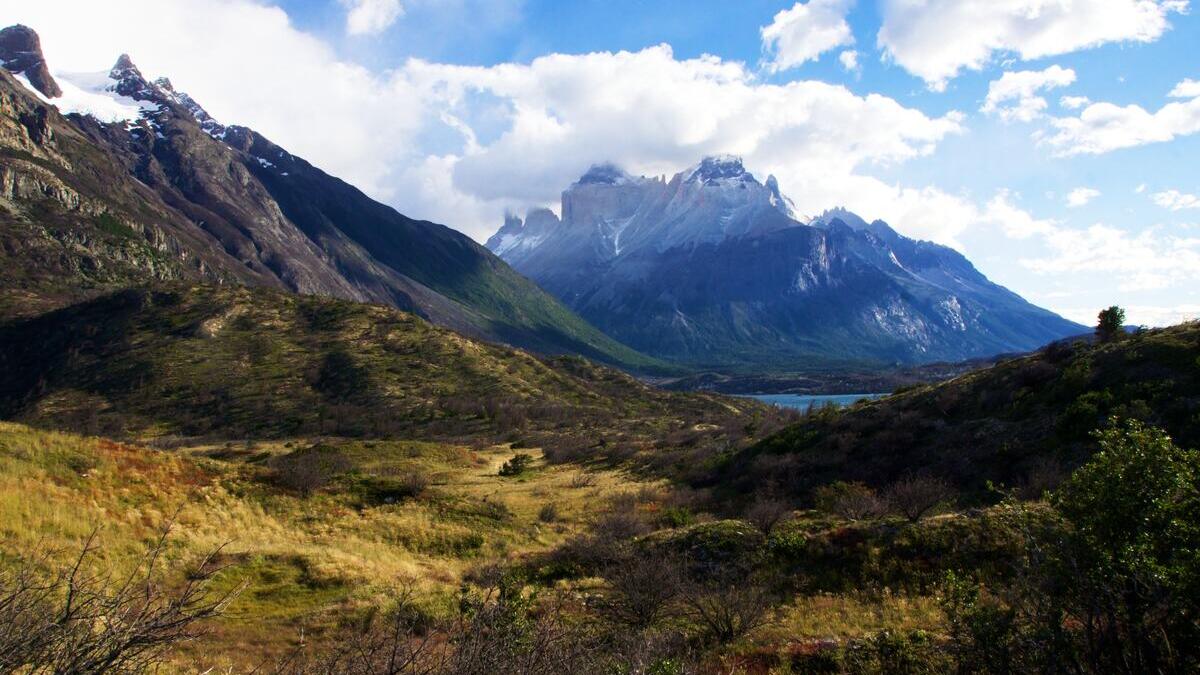 Chile, Vinos e Isla de Pascua
