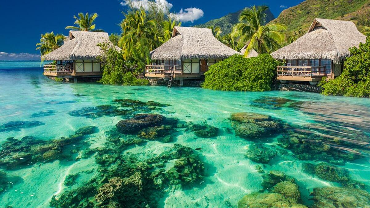 Paraíso Polinesio: Lujo y Naturaleza en Tetiaroa