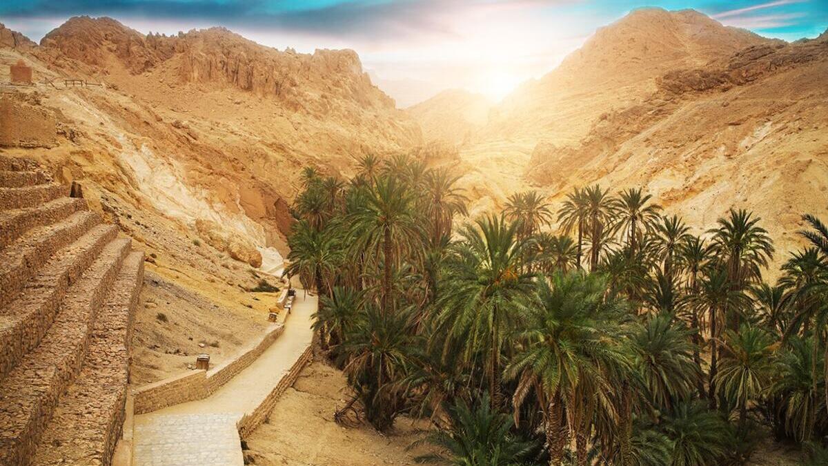 Túnez Mágico: Cartago, Sidi Bou Said y la Costa Esencial
