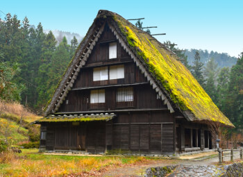 Viaje Paisajes de Corea y Japón con Monte Fuji