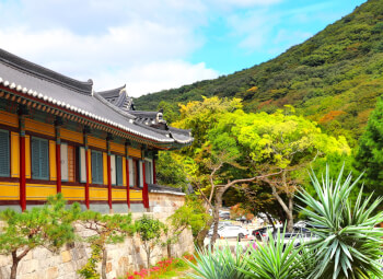 Viajes China y Corea Del Sur 2026: Viaje Corea, China Auténtica con Chengdu