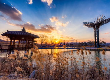 Viajes Corea Del Sur 2026: Viaje Luces de Corea del Sur