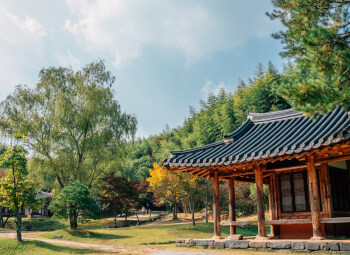 Viajes Corea Del Sur y Japón 2026: Viaje Corea, Tokio y Monte Fuji