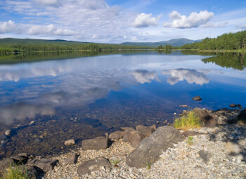 Viajes Noruega y Suecia 2026: Viaje Estocolmo y Fiordos Noruegos