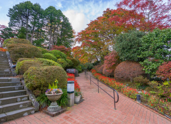 Viajes Japón 2026: Viaje Rincones de Japón con Monte Fuji