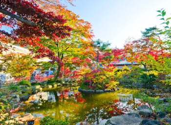 Viaje Perlas Japonesas