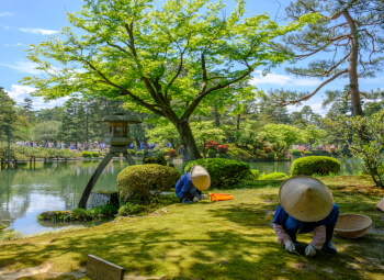 Viaje Viaje al Corazón de Japón
