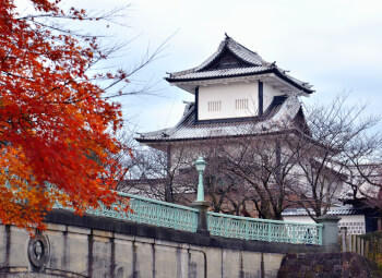 Viaje Viaje al Corazón de Japón - Fin Sapporo