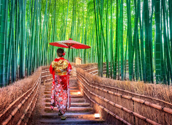 Viaje Explorando Japón y Corea