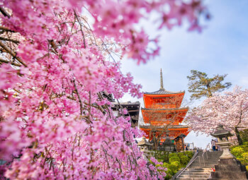 Viajes Japón 2026: Viaje Japón Feudal