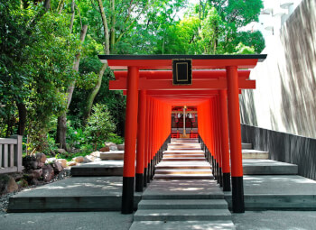 Viajes Japón 2026: Viaje Colores de Japón