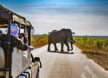 Viajes Sudáfrica 2026: Viaje Sudáfrica imprescindible y cataratas Victoria con Chobe