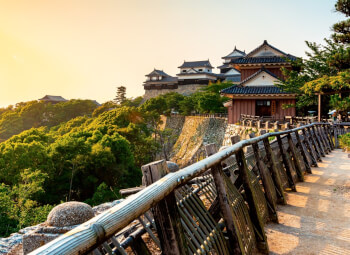 Viaje Japón te Espera