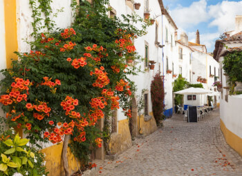 Viaje Lo mejor de Portugal