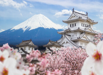 Viaje Japón Esencial a tu aire