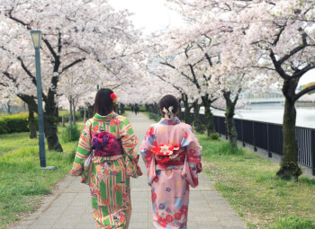 Viajes Corea Del Sur y Japón 2026: Viaje Luces de Corea y Japón Esencial
