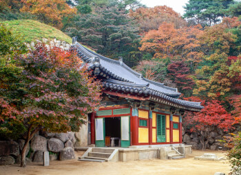 Viajes China y Corea Del Sur 2026: Viaje Corea, Pekin y Shanghai