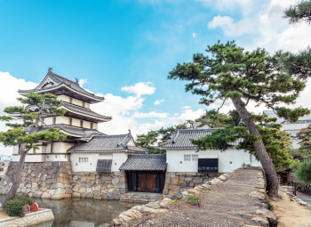 Viaje Lo Mejor de Corea y Japón Espectacular
