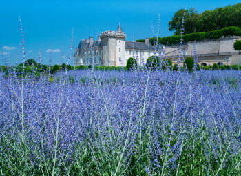 Viaje Francia Encantada