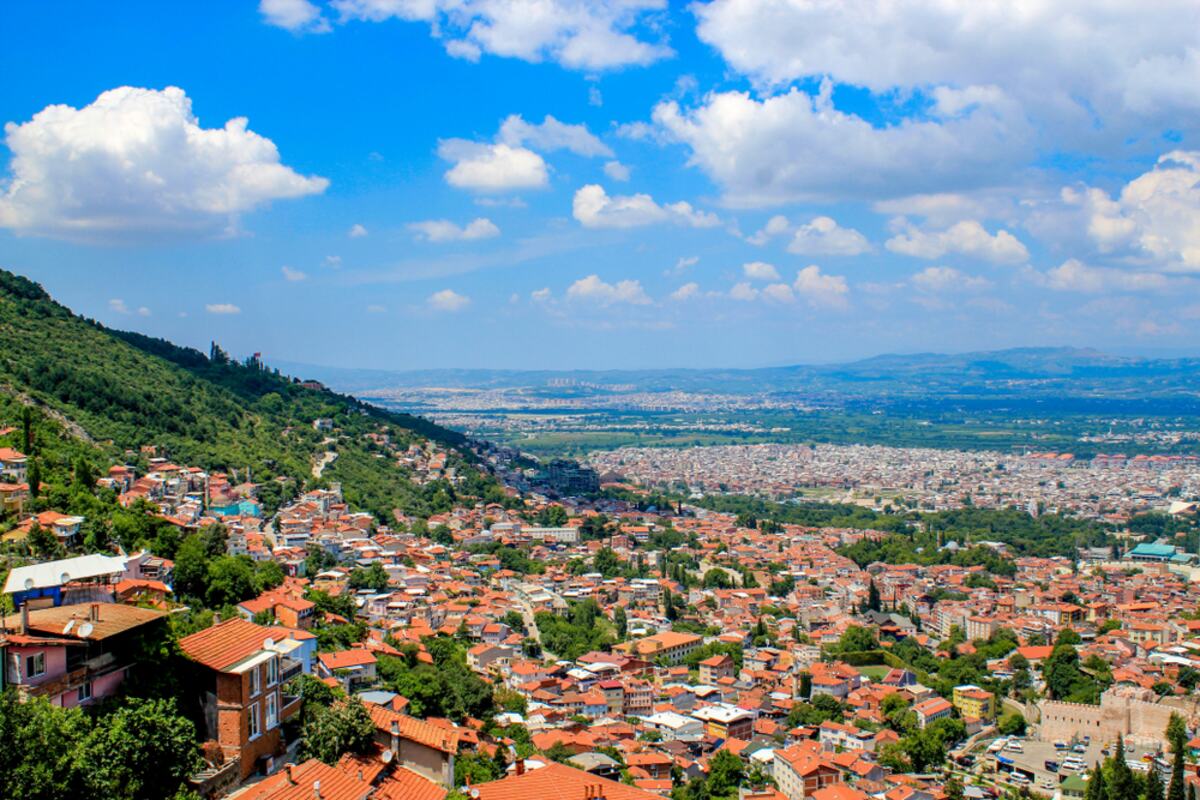 Bursa