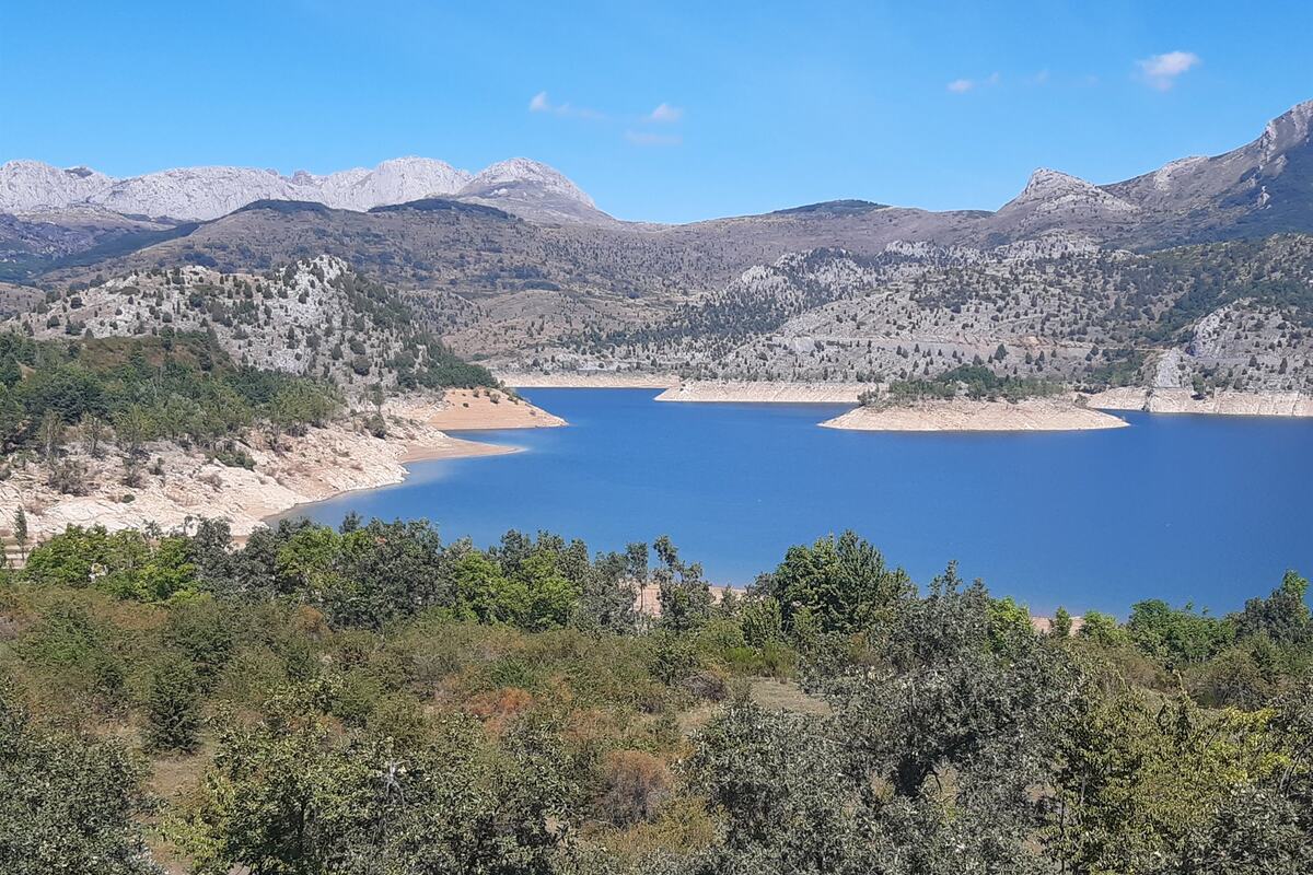 León