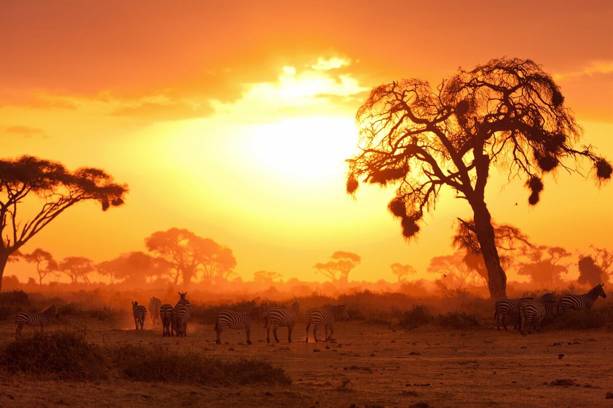 Masai Mara