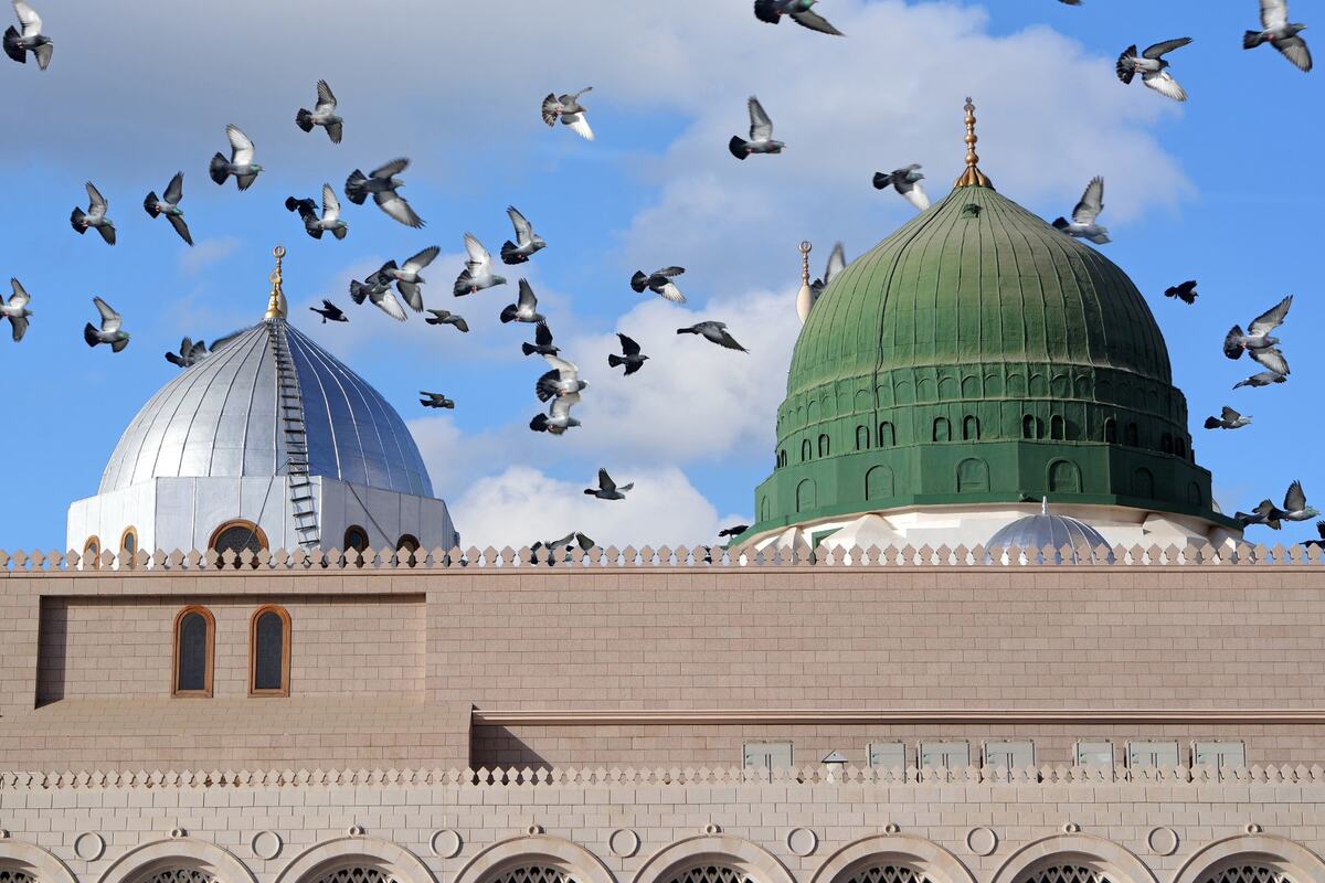 Medina