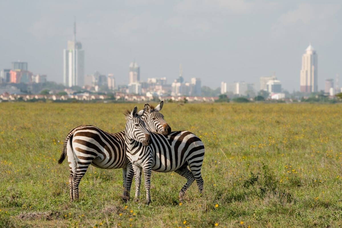 Nairobi