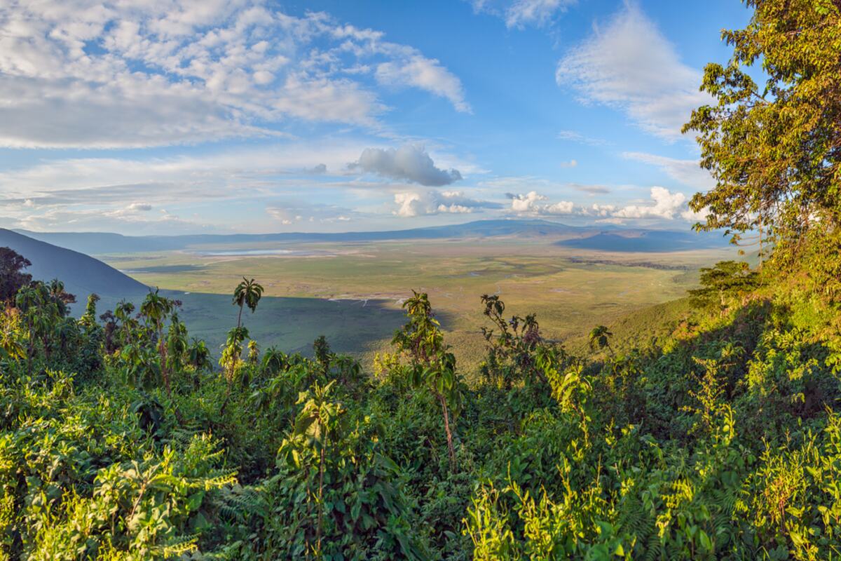 Ngorongoro